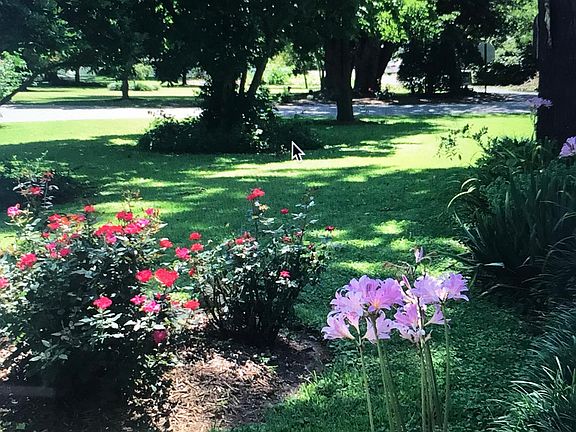 Front Yard in July