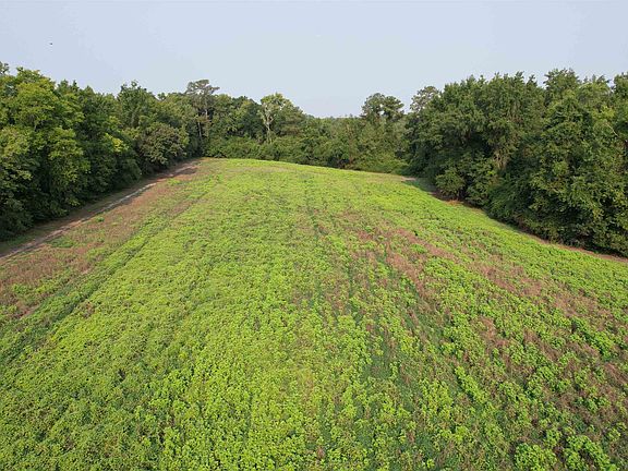 3rd image of 85± Acres - Antler Dr