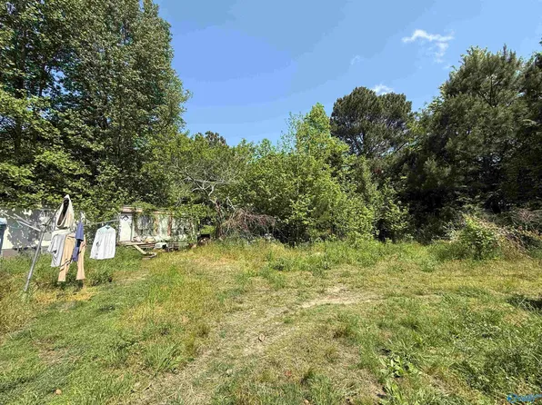 167 County Road 1592, Baileyton, AL 35019