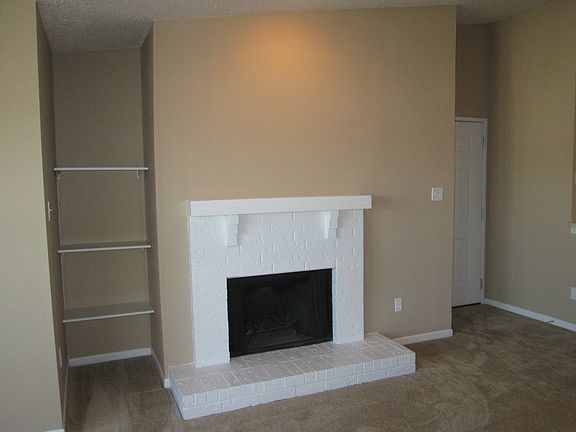 Wood Burning Fireplace