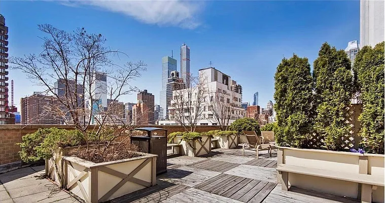 Rented by Luxus Manhattan Realty | media 59