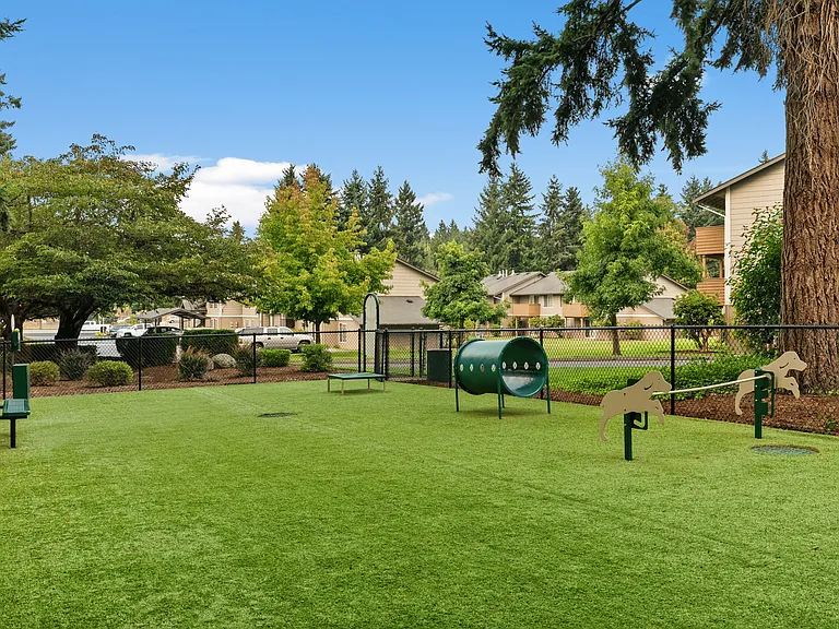 Spacious dog park with agility features and shaded seating.