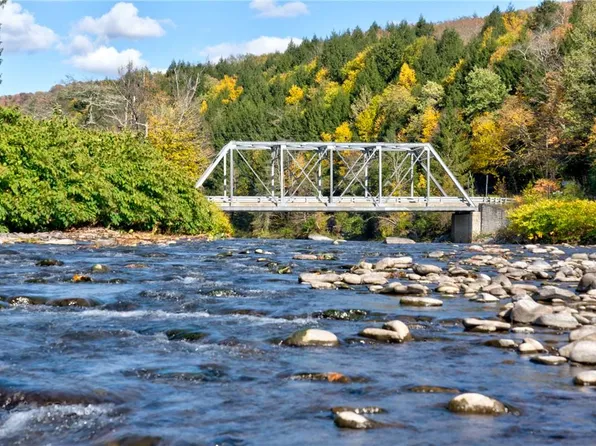 634 Craigie Clair Road, Roscoe, NY 12776