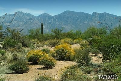 1st image of 1074 W Tortolita Mountain Cir
