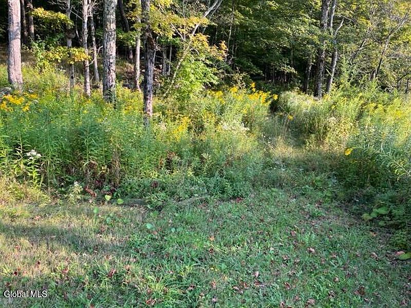 2nd image of L9.70 Olmo Lane
