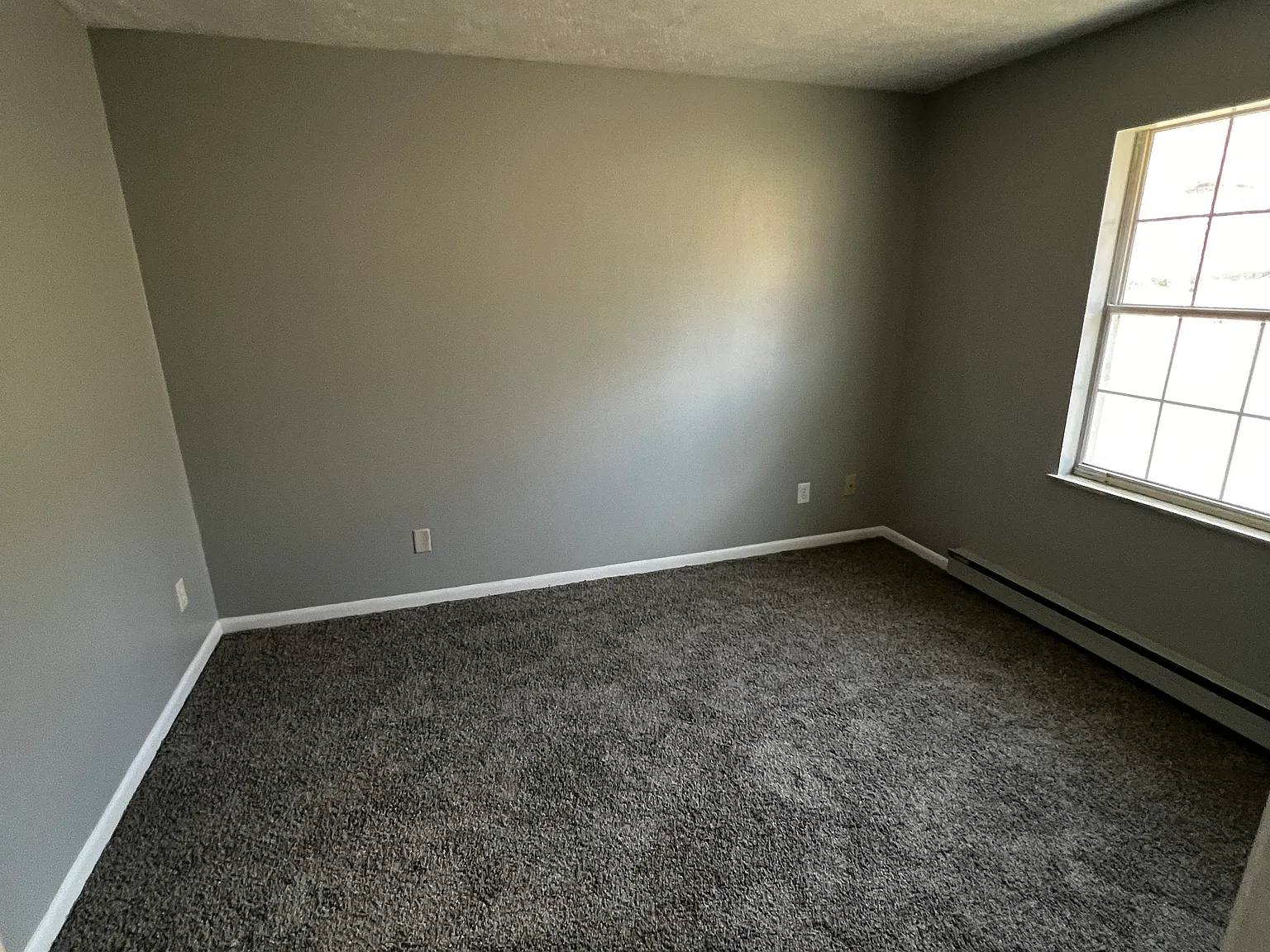 1 bed, 800 sqft, $600 — Photo 3