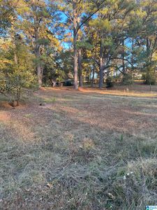 5332&5302 State Highway 119 #0, Montevallo, AL, 35115