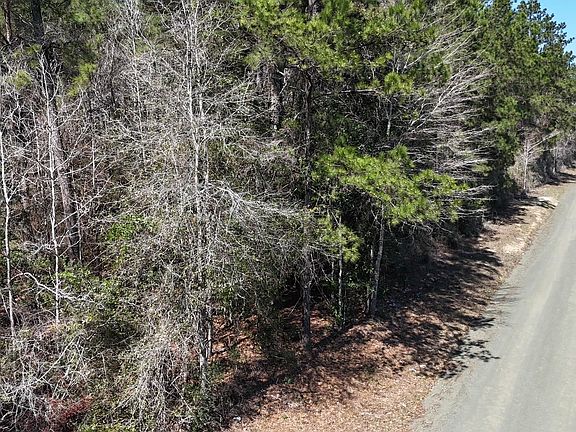 2nd image of 236 County Road 4583