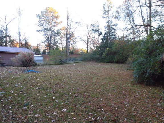 Large Backyard