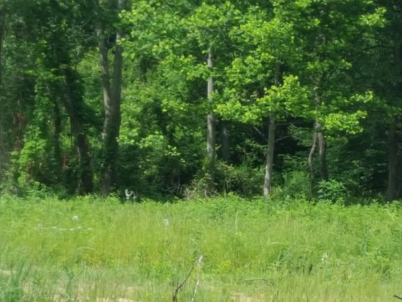 5th image of Nelson Hill Dr #7