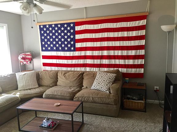 Living room, ceiling fan