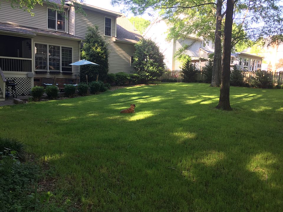 private wooded back yard
