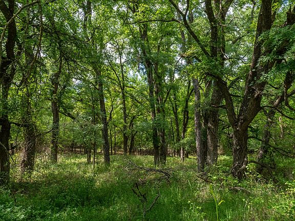 Land near De Leon with Owner Financing Available