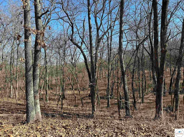 Off Mitarai Pl, Edwards, MO 65326