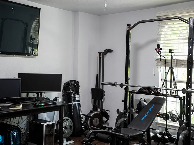 Workout/media room