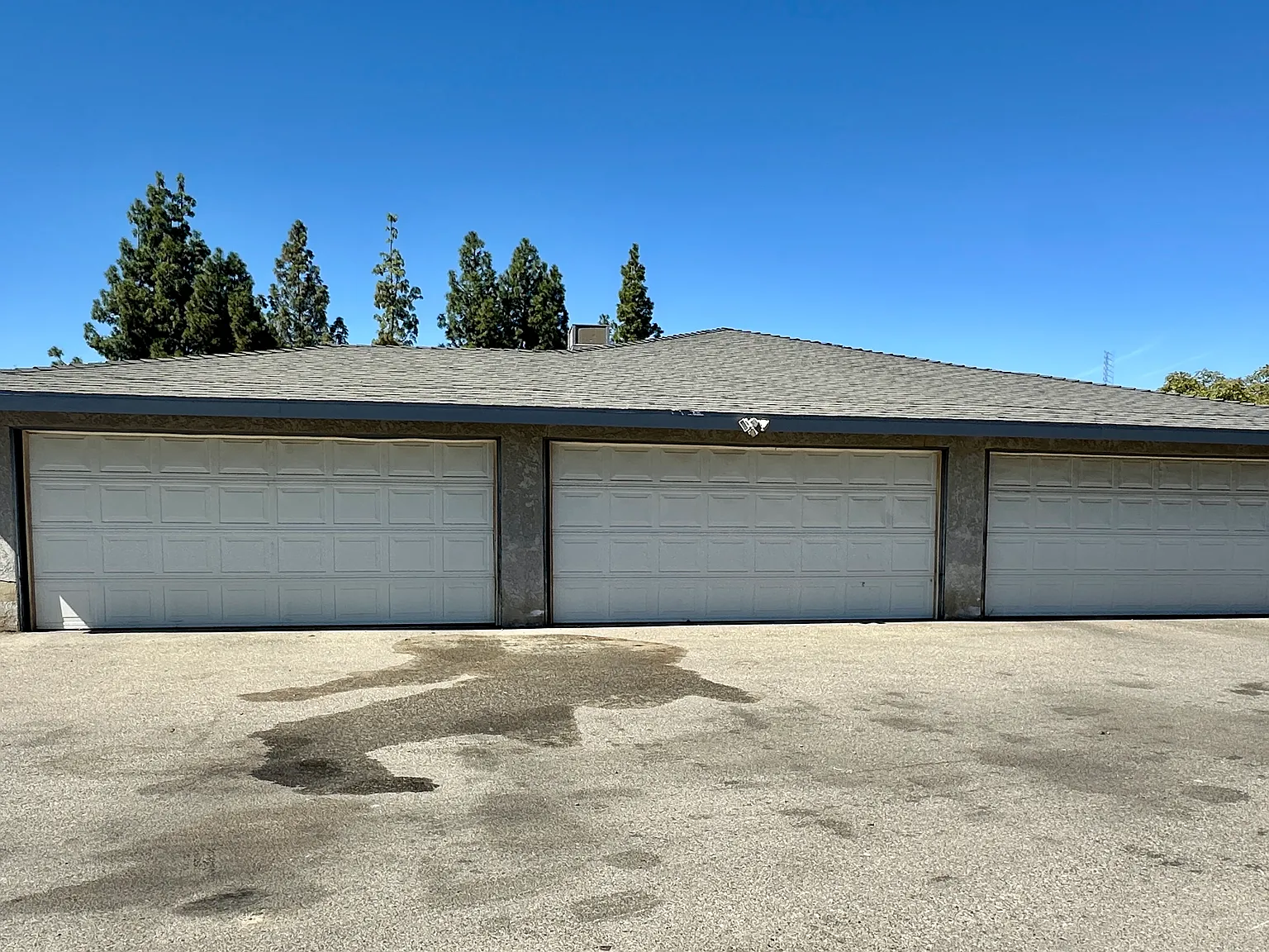 2 bed, $1,800 — Photo 2