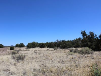 7655 Del Rio Dr, Show Low, AZ, 85901