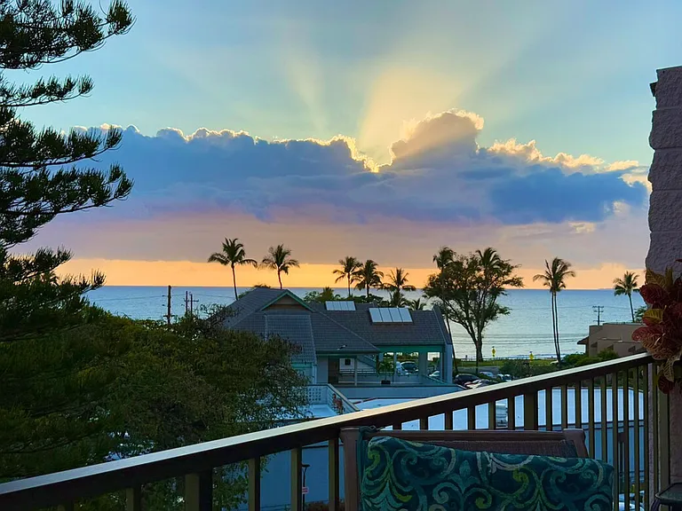 Window View