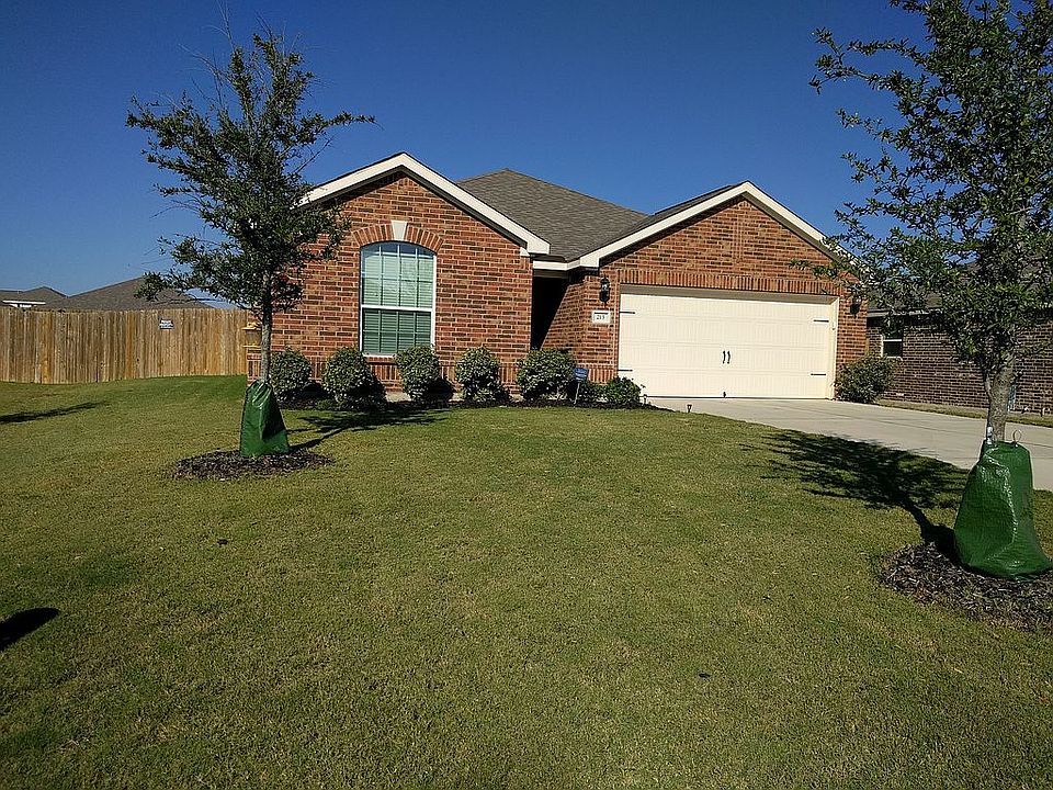 Front Yard #4