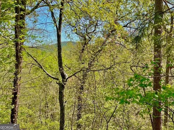 691 Railey Rdg NE, Ranger, GA 30734