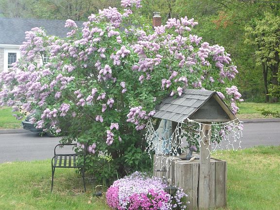 During spring