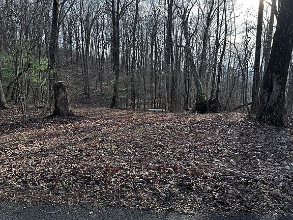 2nd image of 32 Andes Rdg