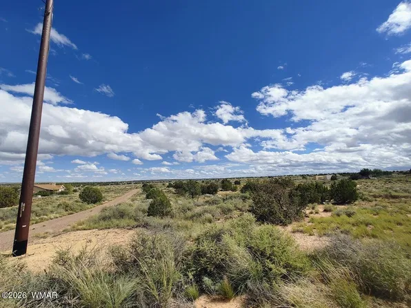 2785 N Old Woodruff Rd, Snowflake, AZ 85937