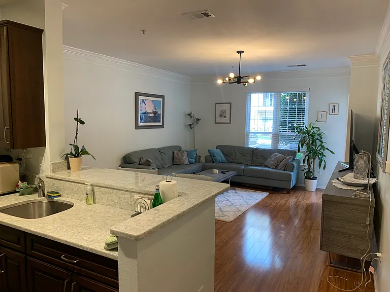 1601 Spring Gate Dr #1115 — Photo 7