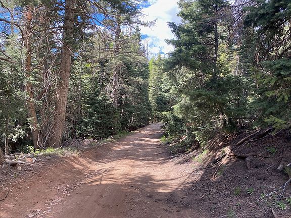 3rd image of W North Fork Rd