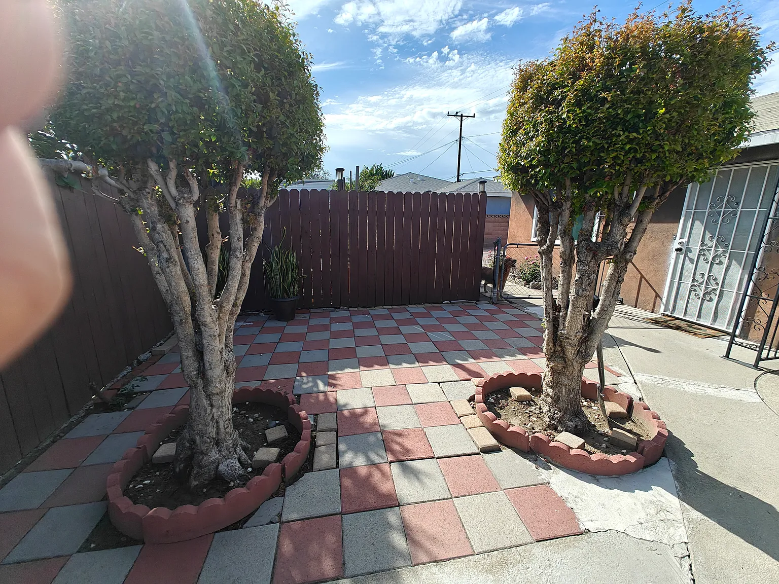 2 bed, 1100 sqft, $2,800 — Photo 2