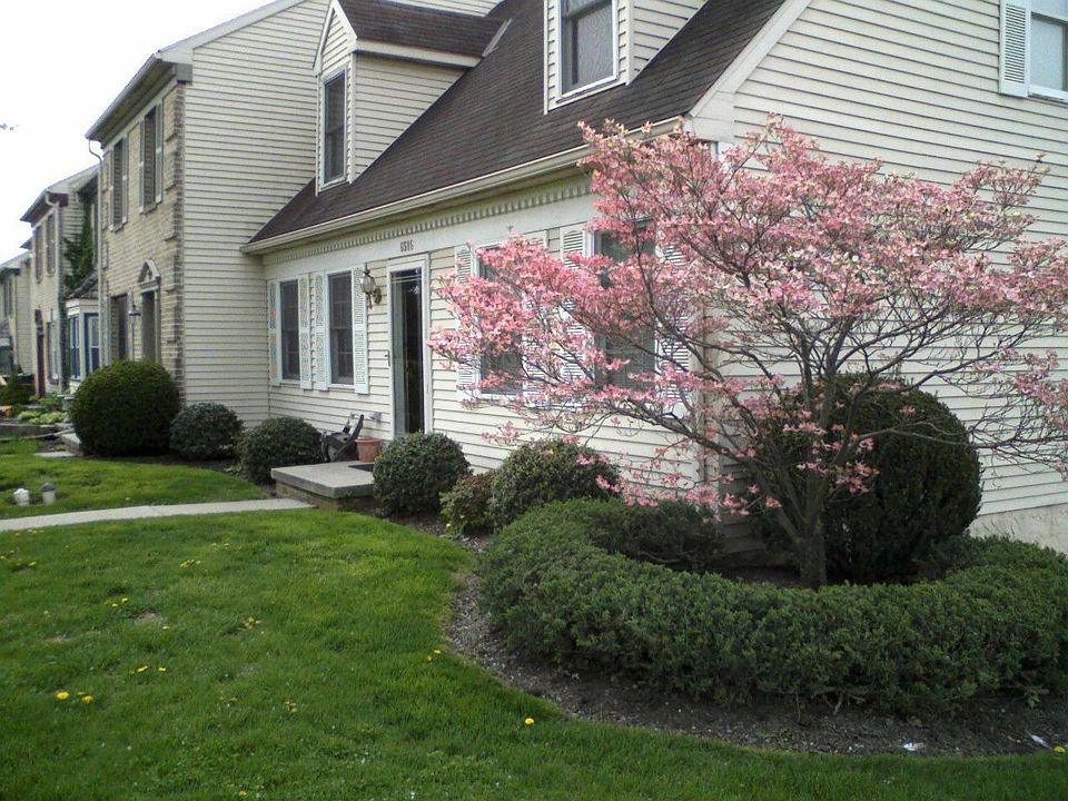 2nd image of 6516 Hollow Dr