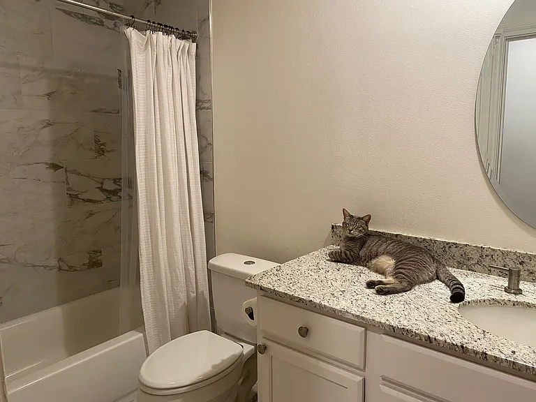 Second/Hall bathroom _ shower/tub, toilet, and vanity (cat not included)
