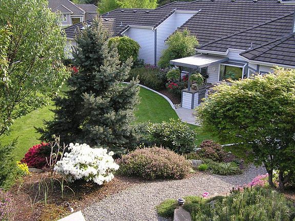 Backyard 1