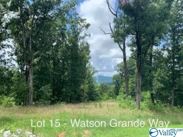 29 Watson Grande Way SE, Owens Cross Roads, AL 35763