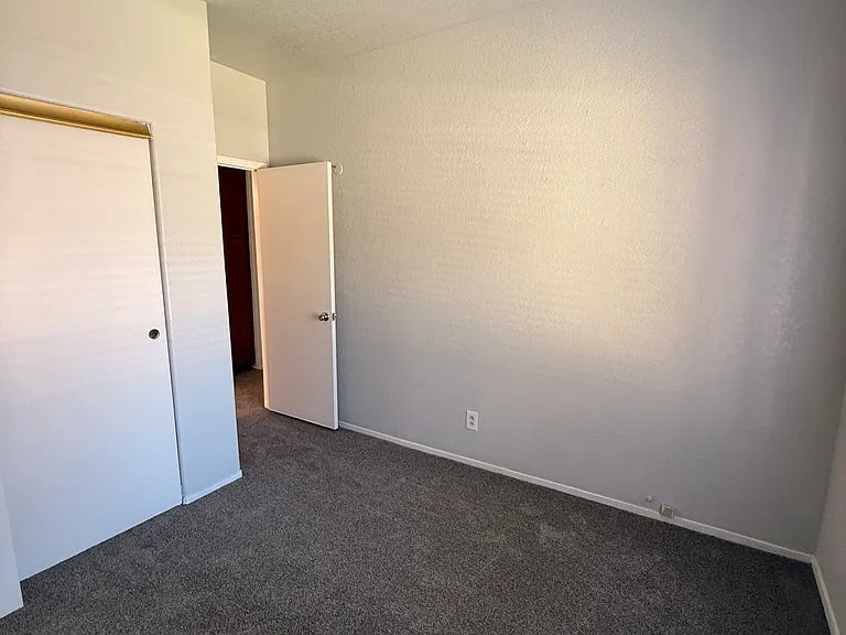 1503 Shotgun Ln — Photo 13