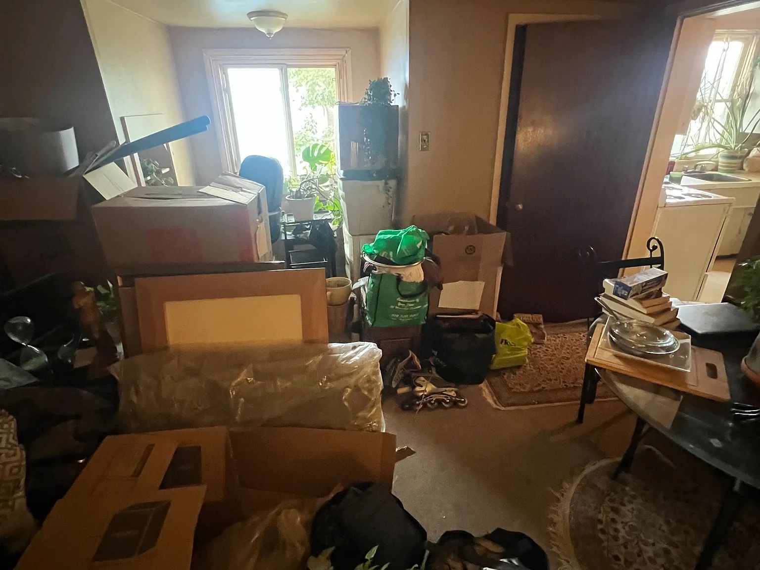1 bed, $995 — Photo 4