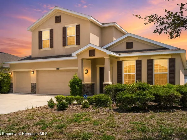 13366 Barkingside Pl, Spring Hill, FL 34609
