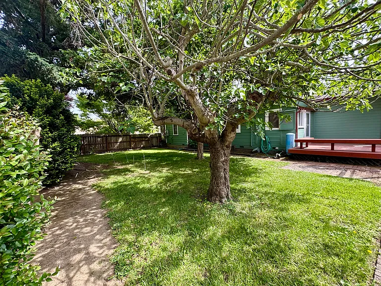 341 Coombs St — Photo 12