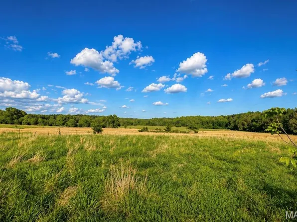 391 Ripley Rte E #160W-21A, Doniphan, MO 63935