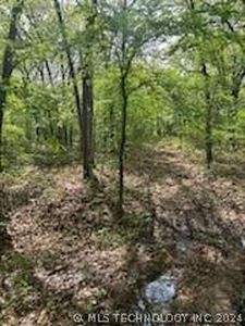 W Mount Carmel Rd, Atoka, OK, 74525