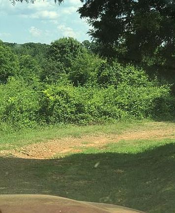 3rd image of 2140 Markland Dr