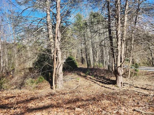 150 Dix Creek Rd #1, Leicester, NC 28748