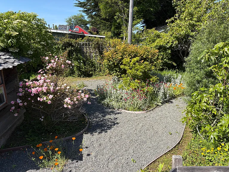Beautiful backyard with mature fruit and ornamental trees, flowers, small pond feature, gravel pathways