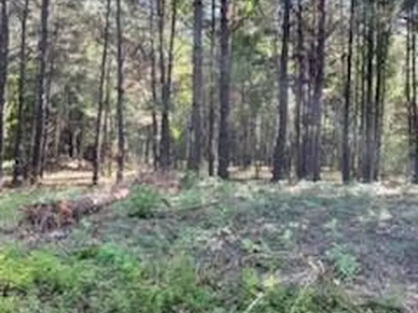Williams Lake Rd, Pineville, LA 71360