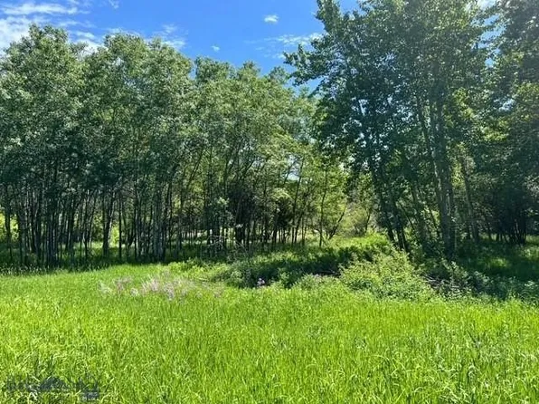 Spring Creek Dr, Bozeman, MT 59715