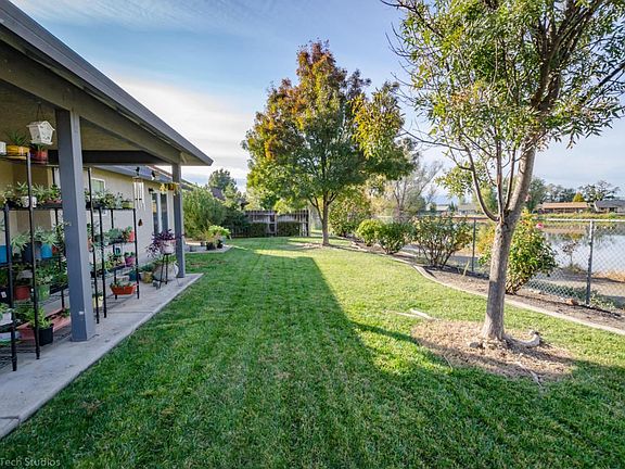 Back patio