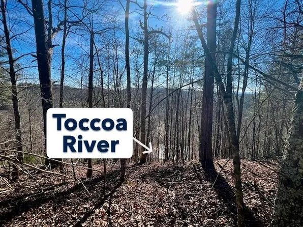 20 Moonshine Mountain Rd, Mineral Bluff, GA 30559