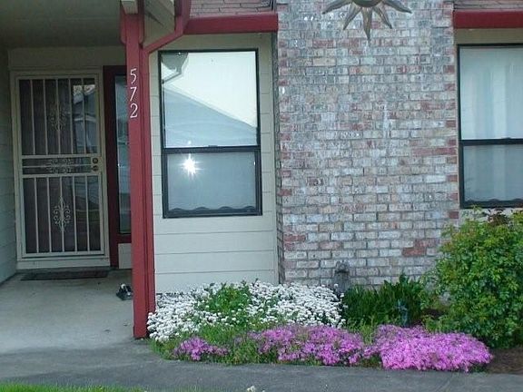 Blooming flowers & rose bushes in front of house.