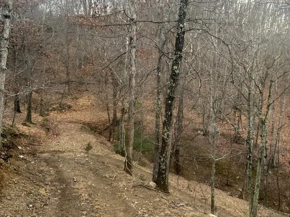 365 Strauter Rd, Franklin, WV 26807