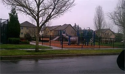 Community park, play structures